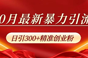 10月最新暴力引流,日引300+精准创业粉