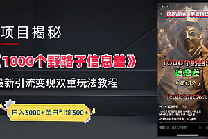 最新一千个野路子信息差玩法教程如何变现+引流的玩法具体拆解!!!