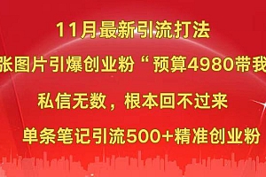 小红书11月最新图片打法,一张图片引爆创业粉“预算4980带我飞”,私信无数,根本回不过来,单条笔记引流500+精准创业粉