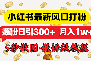 小红书最新图文打粉,5秒做图教程,爆粉日引300+,月入1w+