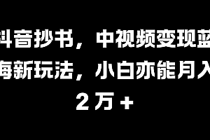 抖音抄书,中视频变现蓝海新玩法,小白亦能月入 2 万 +