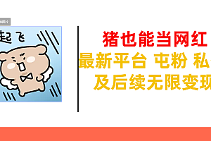 猪也能当网红-最新平台 屯粉 交流 私信 及后续无限变现