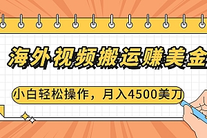 海外视频搬运赚美金,小白轻松操作,月入4500美刀