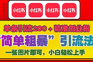 12底最新小红书单日引流200+创业粉,“简单粗暴”引流法,一张图片即可操作,小白轻松上手,私信根本回不完