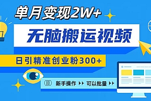 无脑搬运视频号可批量复制,新手即可操作,日引精准创业粉300+ 月变现2W+