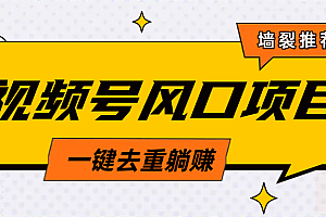 视频号风口蓝海项目,中老年人的流量密码,简单无脑,一键去重,轻松月入过万