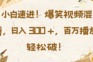 小白速进!爆笑视频混剪,日入 300 +,百万播放轻松破!
