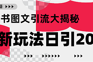 小红书图文引流,只需一张图片即可撬动百万流量,日引200+创业粉