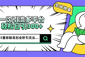 2025重磅全网独家引流法,一次多平台,轻松日引300+精准创业粉