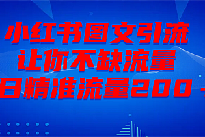 最新!小红书图文引流,全面解析日引300私域流量,是怎样做到的!