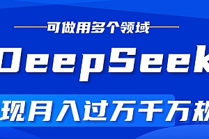 DeepSeek最全玩法,利用AI实现月入过万,玩转所有项目