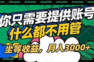账号全程托管,你只需要提供账号,什么都不用管,坐等收益,月入3000+