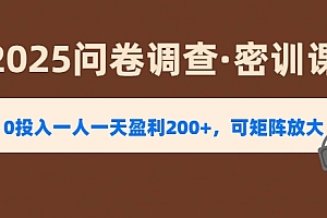 2025《问卷调查》0投入一人一天盈利200+,可矩阵放大