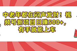 中老年都在闷声发财!视频号新项目日赚500+,有手就能上车