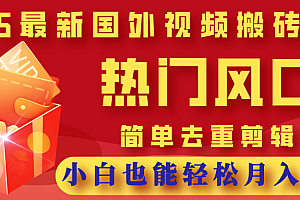 2025最新国外视频搬砖项目,热门风口,简单去重剪辑,小白也能轻松月入3W+