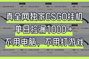 真全网独家CSGO挂机,单日捡漏1000+