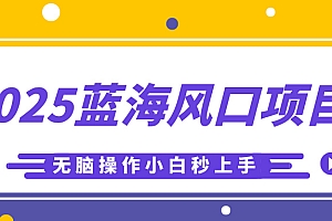 2025蓝海风口项目,利用AI工具一键生成儿童益智早教视频,无脑操作小白秒上手,轻松日入500+
