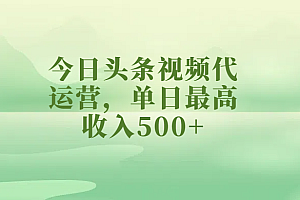 今日头条视频代运营,单日最高收入500+