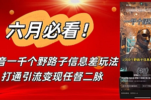 6月必看!抖音一千个野路子信息差玩法,打通引流变现任督二脉