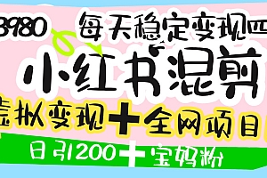 价值3980的小红书混剪, 虚拟变现 +全网项目库 , 日引200+宝妈创业粉,每天稳定四位数变现