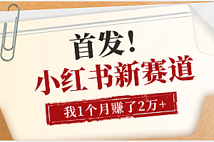 【首发】小红书全新赛道,我自己靠这个项目上个月收益2W+