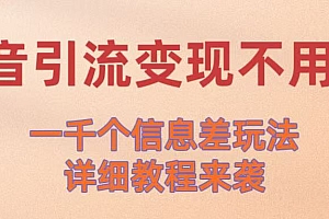 抖音引流变现不用愁!一千个信息差玩法详细教程来袭