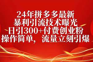 25年拼多多最新暴利引流技术曝光、日引300+付费创业粉操作简单,流量立刻引爆