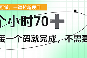 一个小时70+,一键拉新项目,接一个码就完成,不需要回传