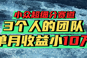 小众超细分赛道,一年百万利润的盘子!