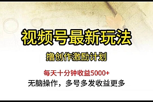 视频号最新玩法,每日一小时月入5000+