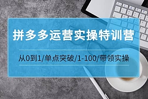 拼多多运营实操特训营:从0到1/单点突破/1-100/带领实操 价值2980元