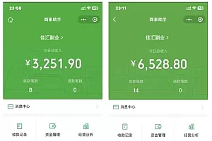 一千个野路子信息差24年最新玩法教程附带变现方法和引流的玩法具体拆解
