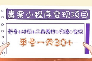 毒案小程序变现项目:养号+对标+工具素材+实操+变现