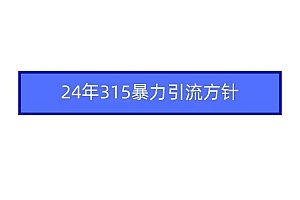 2024年315暴力引流方针