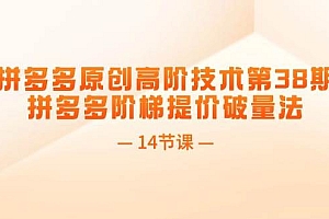 拼多多原创高阶技术第38期,拼多多阶梯提价破量法(14节课)