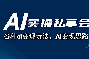 AI实操私享会,各种ai变现玩法,AI变现思路(67节课)