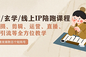 国学/玄学/线上IP陪跑课程,从0-1全方位教学,快速发展数百个矩阵号