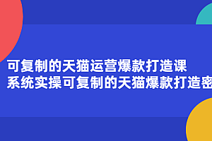 可复制的天猫运营爆款打造课,系统实操可复制的天猫爆款打造密码