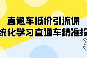 直通车-低价引流课,系统化学习直通车精准投放(14节课)