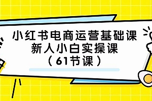 小红书电商运营基础课,新人小白实操课(61节课)