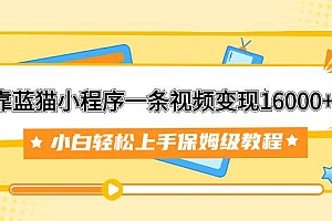 靠蓝猫小程序一条视频变现16000+小白轻松上手保姆级教程(附166G资料素材)