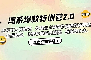 淘系爆款特训营2.0【第六期】从选品上架到付费放大 全店运营 打爆款 做好店