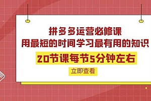 拼多多运营必修课:20节课每节5分钟左右,用最短的时间学习最有用的知识