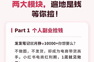 小红书·捡钱课 发发笔记月挣1.5w+不做图 不发货 1周就见效(个人篇+企业篇)