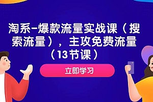 淘系-爆款流量实战课(搜索流量),主攻免费流量(13节课)