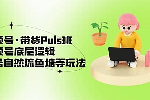 视频号·带货Puls班,视频号底层逻辑,起号自然流鱼塘等玩法