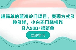 超简单的蓝海冷门项目,变现方式多种多样,小白无门槛操作日入500+很简单