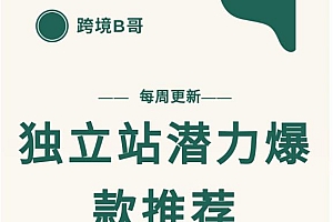 【跨境B哥】独立站潜力爆款选品推荐,测款出单率高达百分之80(每周更新)