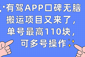 有驾APP口碑无脑搬运项目又来了,单号最高110块,可多号操作