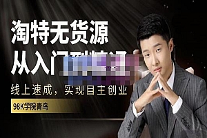 98k学院的淘特无货源线上速成课,从入门到精通,让你最小投入,最高回报